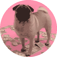 dog with money gif